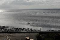 PEGWELL BAY BAIT DIGGER